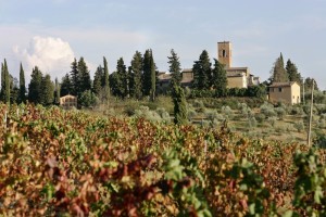 Guide-in-toscana-Pieve-San-Lazzaro-Pozzo